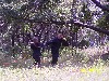 rise (113).jpg